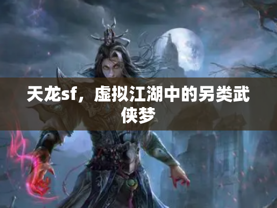 天龙sf，虚拟江湖中的另类武侠梦