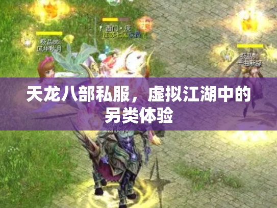 天龙八部私服，虚拟江湖中的另类体验