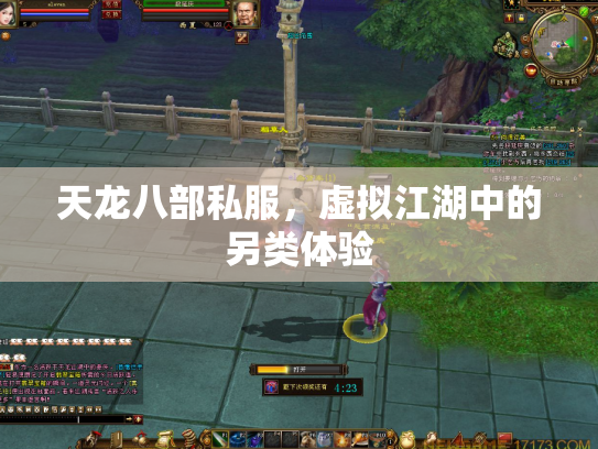 天龙八部私服，虚拟江湖中的另类体验