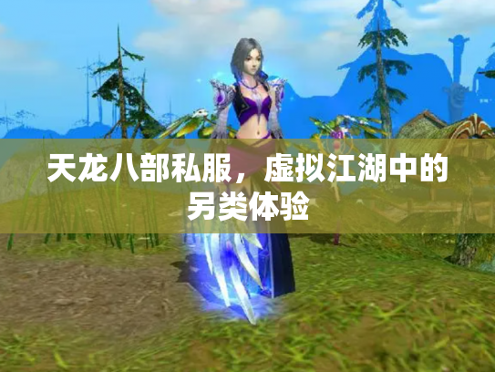 天龙八部私服，虚拟江湖中的另类体验