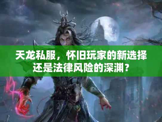 天龙私服，怀旧玩家的新选择还是法律风险的深渊？