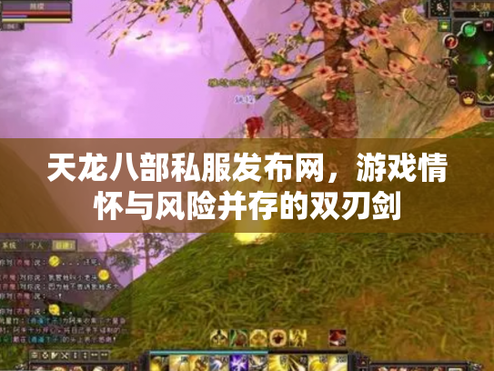 天龙八部私服发布网，游戏情怀与风险并存的双刃剑