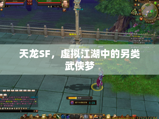 天龙SF，虚拟江湖中的另类武侠梦