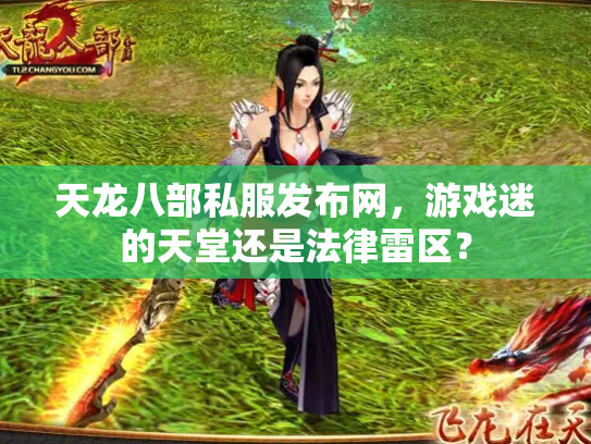 天龙八部私服发布网，游戏迷的天堂还是法律雷区？