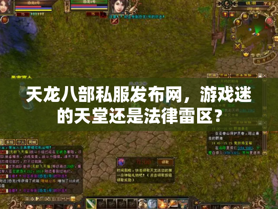 天龙八部私服发布网，游戏迷的天堂还是法律雷区？