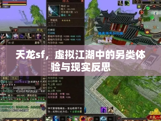 天龙sf，虚拟江湖中的另类体验与现实反思