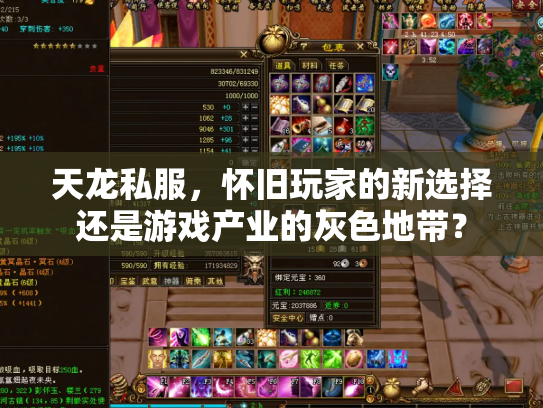 天龙私服，怀旧玩家的新选择还是游戏产业的灰色地带？
