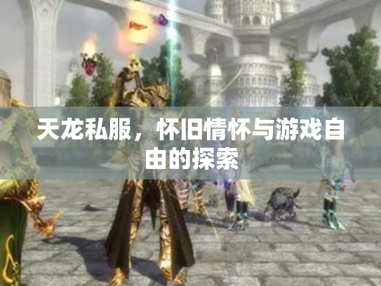 天龙私服，怀旧情怀与游戏自由的探索