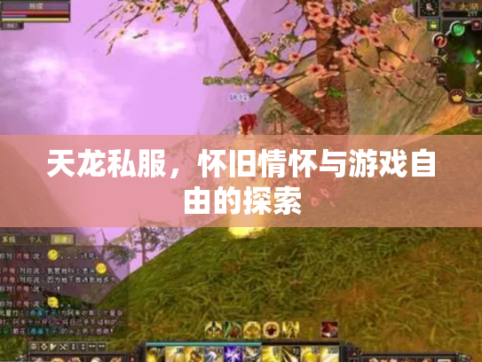 天龙私服，怀旧情怀与游戏自由的探索