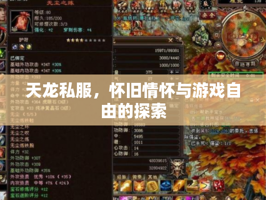 天龙私服，怀旧情怀与游戏自由的探索