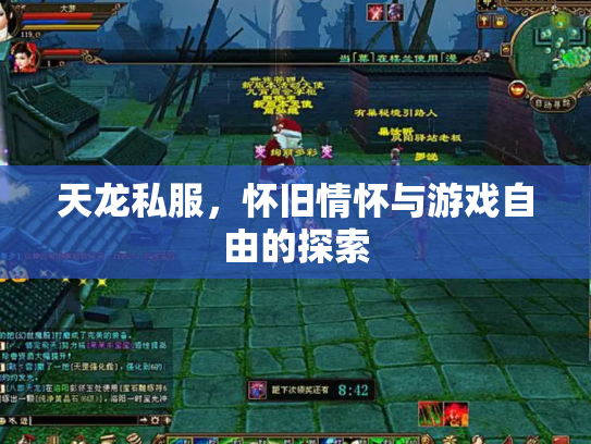 天龙私服，怀旧情怀与游戏自由的探索