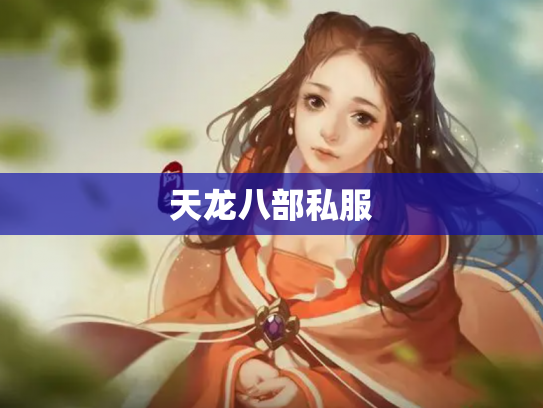 天龙八部私服