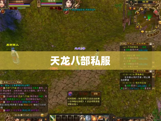 天龙八部私服