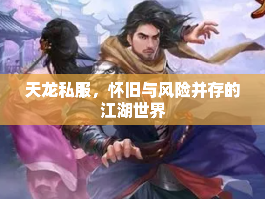 天龙私服，怀旧与风险并存的江湖世界