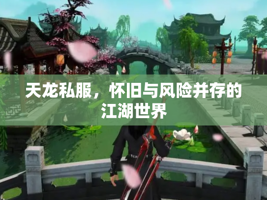 天龙私服，怀旧与风险并存的江湖世界