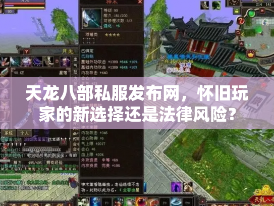 天龙八部私服发布网，怀旧玩家的新选择还是法律风险？