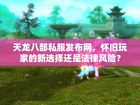 天龙八部私服发布网，怀旧玩家的新选择还是法律风险？