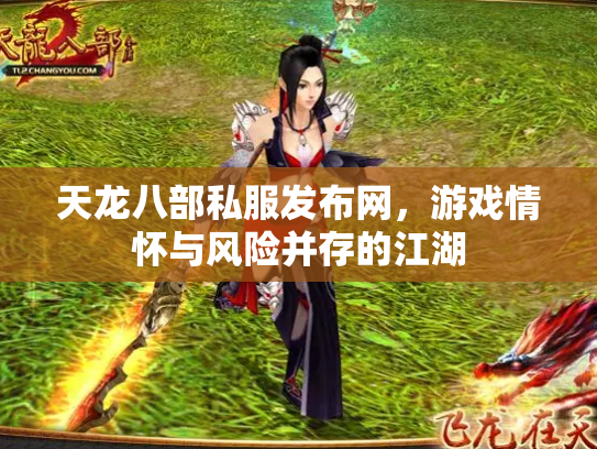 天龙八部私服发布网，游戏情怀与风险并存的江湖