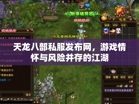 天龙八部私服发布网，游戏情怀与风险并存的江湖