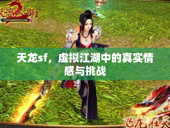 天龙sf，虚拟江湖中的真实情感与挑战