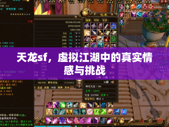 天龙sf，虚拟江湖中的真实情感与挑战