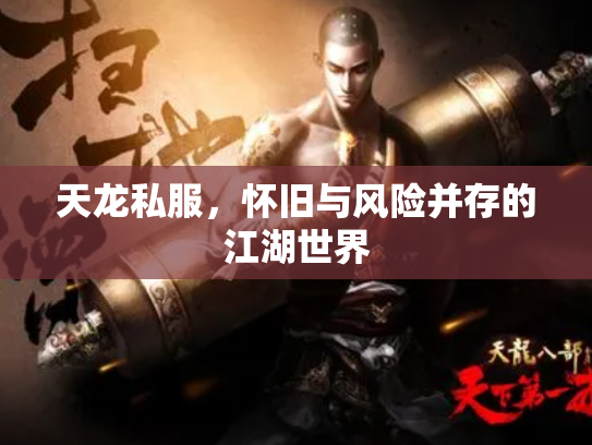 天龙私服，怀旧与风险并存的江湖世界