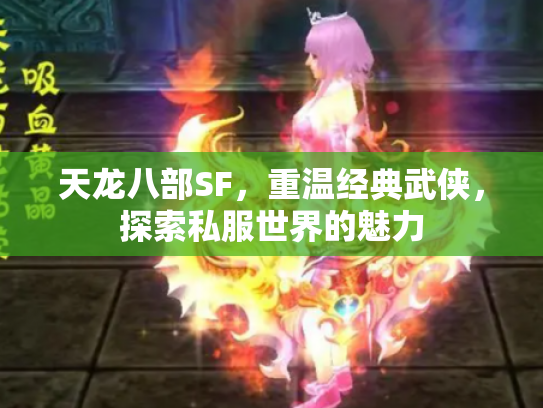 天龙八部SF，重温经典武侠，探索私服世界的魅力
