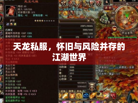 天龙私服，怀旧与风险并存的江湖世界