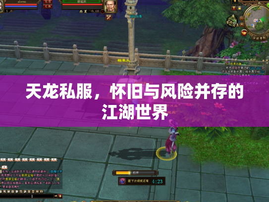 天龙私服，怀旧与风险并存的江湖世界