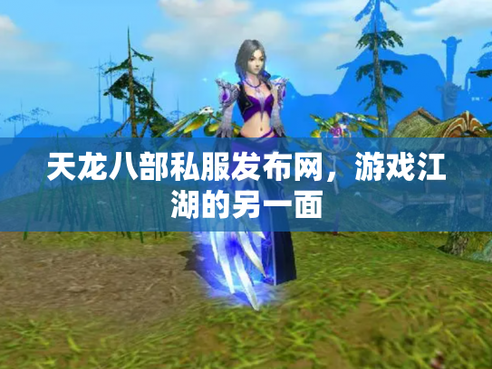 天龙八部私服发布网，游戏江湖的另一面
