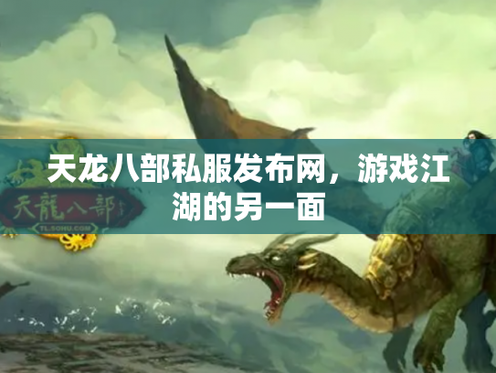 天龙八部私服发布网，游戏江湖的另一面