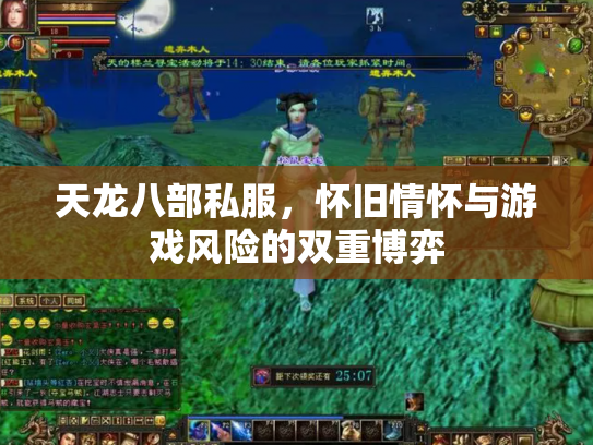天龙八部私服，怀旧情怀与游戏风险的双重博弈