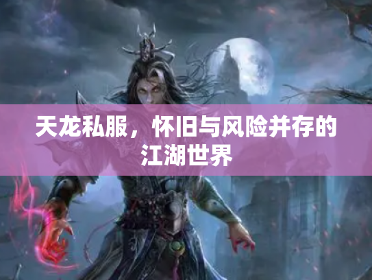 天龙私服，怀旧与风险并存的江湖世界