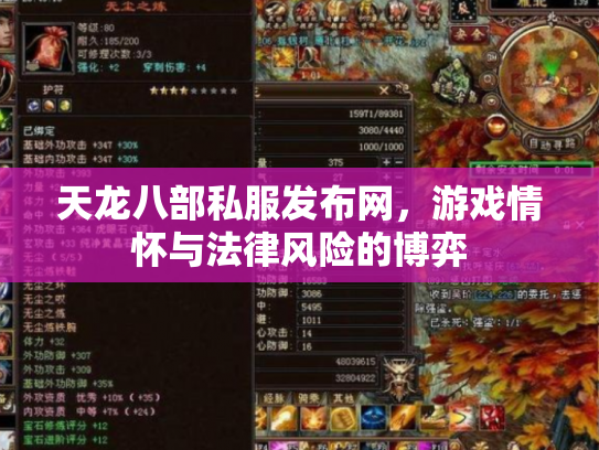 天龙八部私服发布网，游戏情怀与法律风险的博弈