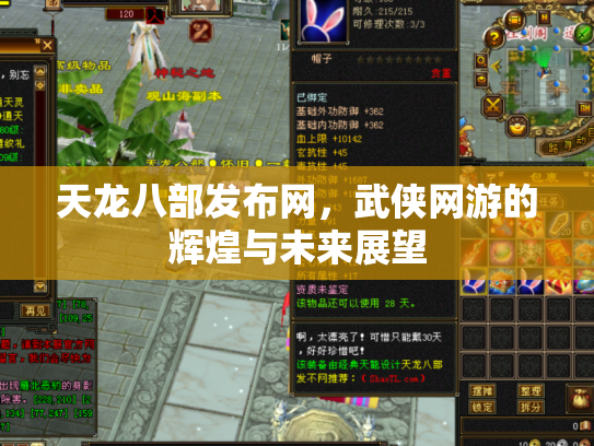 天龙八部发布网，武侠网游的辉煌与未来展望