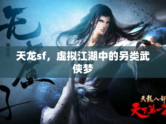 天龙sf，虚拟江湖中的另类武侠梦