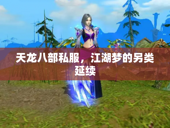天龙八部私服，江湖梦的另类延续