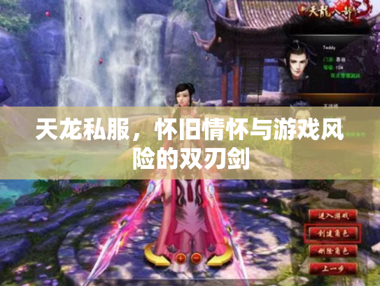 天龙私服，怀旧情怀与游戏风险的双刃剑