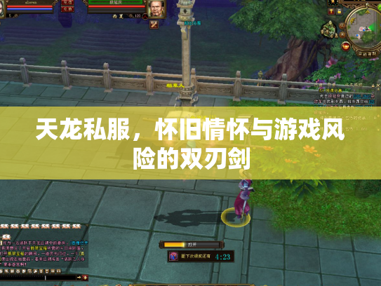 天龙私服，怀旧情怀与游戏风险的双刃剑