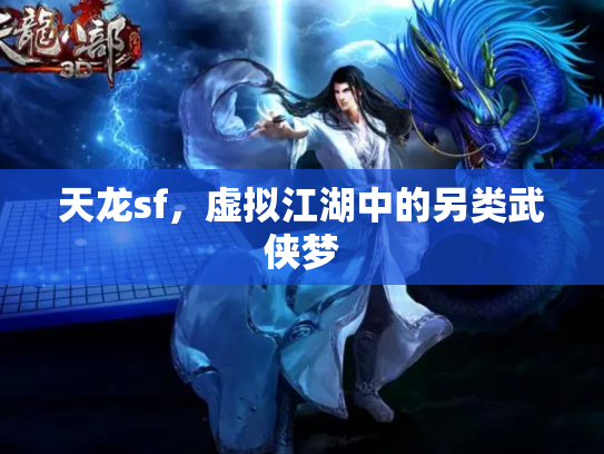 天龙sf，虚拟江湖中的另类武侠梦