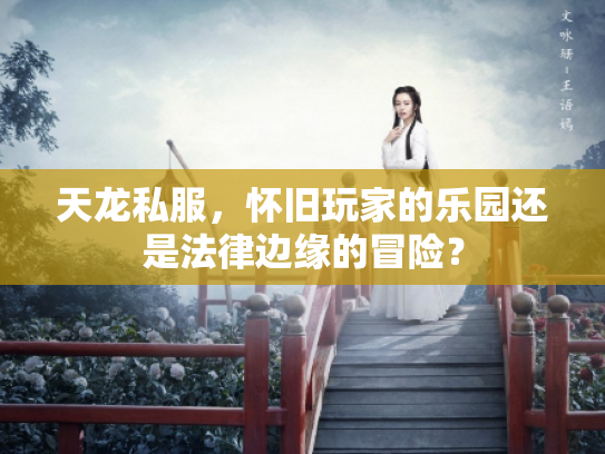 天龙私服，怀旧玩家的乐园还是法律边缘的冒险？