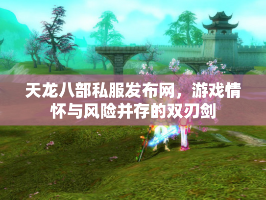 天龙八部私服发布网，游戏情怀与风险并存的双刃剑