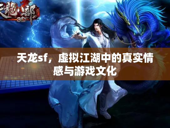 天龙sf，虚拟江湖中的真实情感与游戏文化