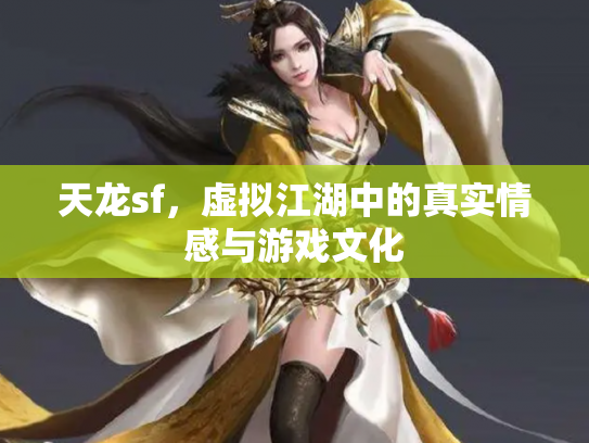 天龙sf，虚拟江湖中的真实情感与游戏文化