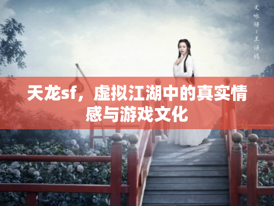 天龙sf，虚拟江湖中的真实情感与游戏文化