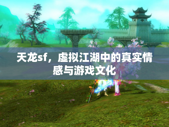 天龙sf，虚拟江湖中的真实情感与游戏文化