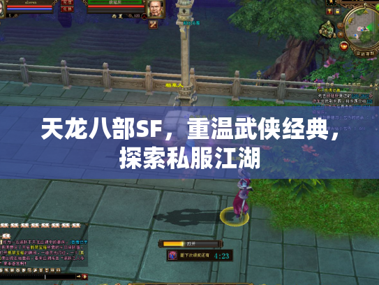 天龙八部SF，重温武侠经典，探索私服江湖