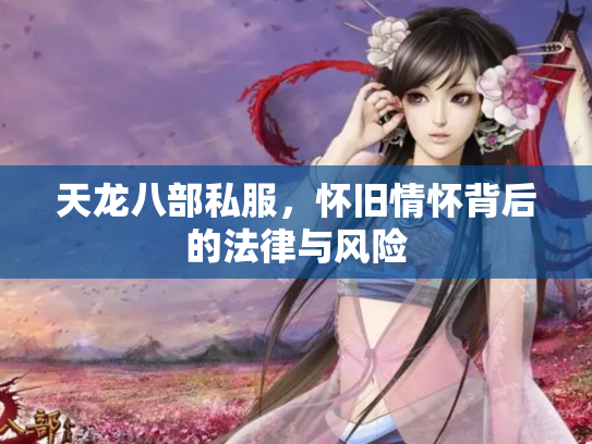 天龙八部私服，怀旧情怀背后的法律与风险