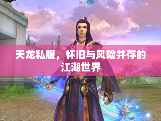 天龙私服，怀旧与风险并存的江湖世界