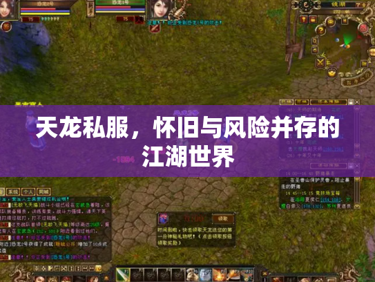 天龙私服，怀旧与风险并存的江湖世界